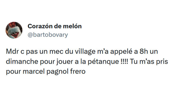 Image de couverture de l'article : Top 15 des meilleurs tweets sur la pétanque