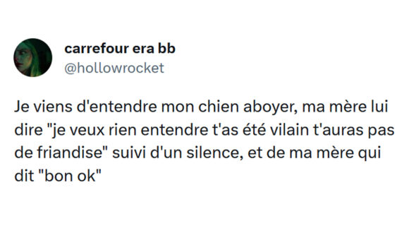 Image de couverture de l'article : Top 15 des meilleurs tweets sur les chiens, c’est votre journée !