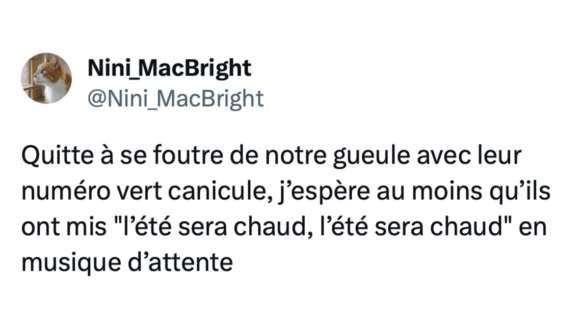 Image de couverture de l'article : Les 15 meilleurs tweets sur la canicule : on a chaud