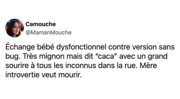 Image de couverture de l'article : Le Comptwoir du 30 août 2023 : les meilleurs tweets