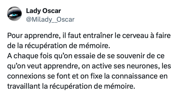 Image de couverture de l'article : Thread : la meilleure façon d’apprendre