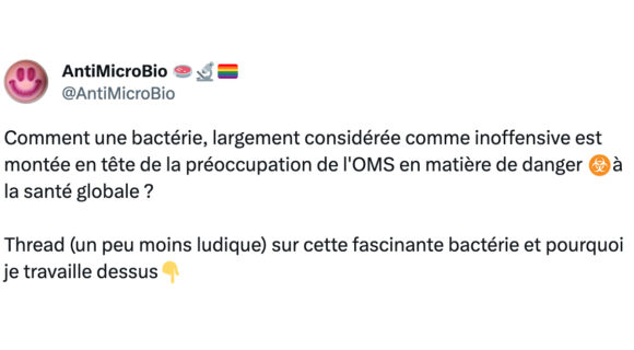 Image de couverture de l'article : Thread : une bactérie qui résiste à tout