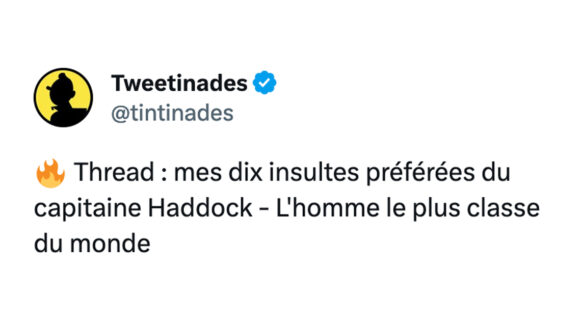 Image de couverture de l'article : Thread : 10 insultes signées Capitaine Haddock