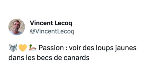 Image de couverture de l'article : Thread : des loups dans les becs des canards