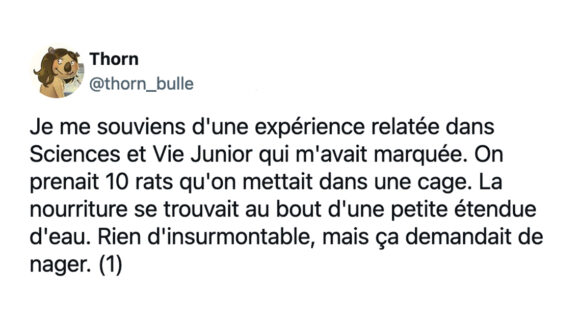 Image de couverture de l'article : Thread : l’expérience des rats plongeurs