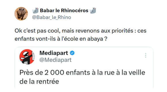 Image de couverture de l'article : Les 15 meilleurs tweets de @Babar_le_Rhino