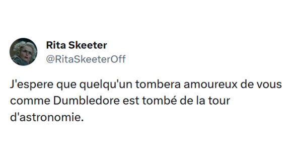 Image de couverture de l'article : Top 15 des meilleurs tweets sur Dumbledore