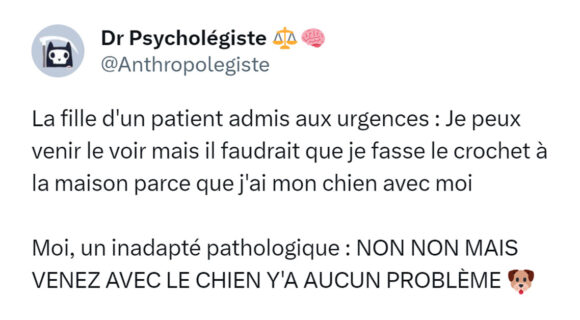 Image de couverture de l'article : Top 15 des tweets sur les chiens, parce que ouaf ouaf