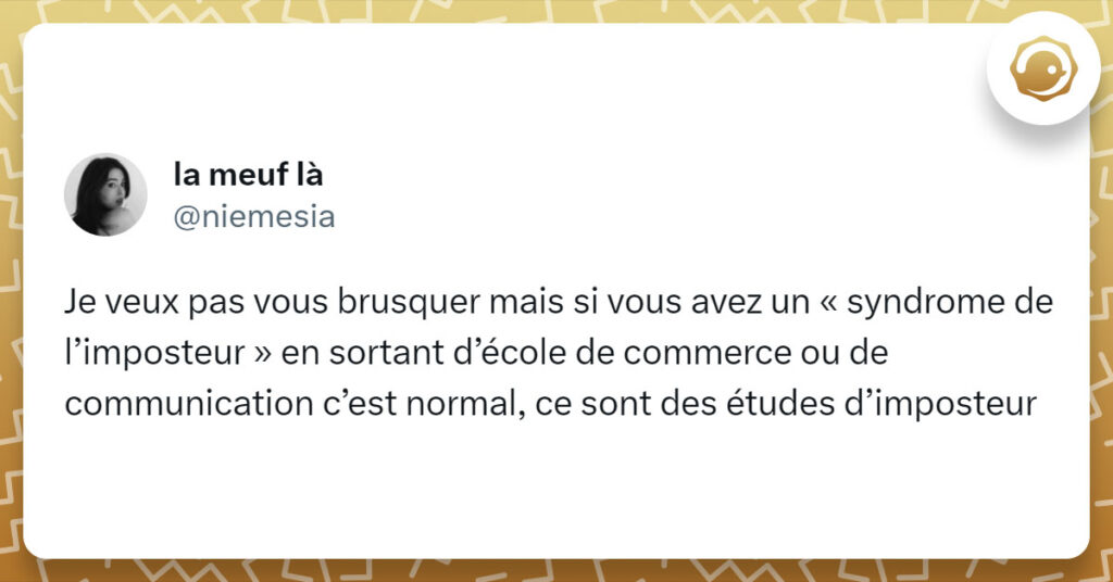 Tweet de @niemesia : "Je veux pas vous brusquer mais si vous avez un &laquo; syndrome de l&rsquo;imposteur &raquo; en sortant d&rsquo;&eacute;cole de commerce ou de communication c&rsquo;est normal, ce sont des &eacute;tudes d&rsquo;imposteur"