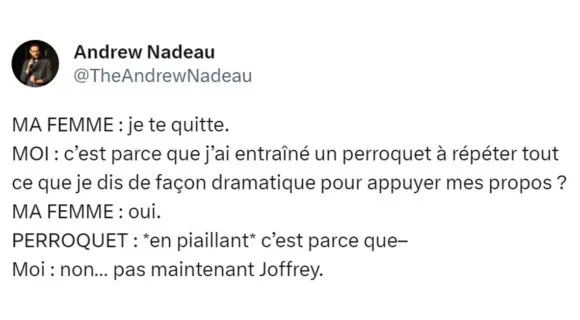 Image de couverture de l'article : Vos 14 meilleurs tweets sur les perroquets, l’oiseau qui parle