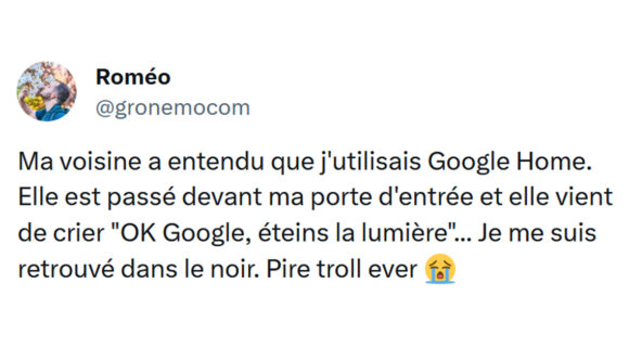 Image de couverture de l'article : Top 15 des meilleurs tweets sur les assistants vocaux, OK Google va au travail à ma place !