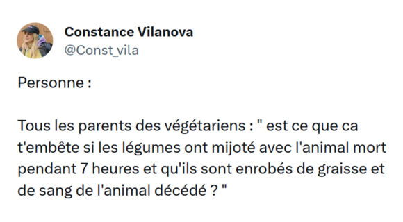 Image de couverture de l'article : Top 16 des meilleurs tweets sur les végétariens, oui même le poulet je peux pas papi !