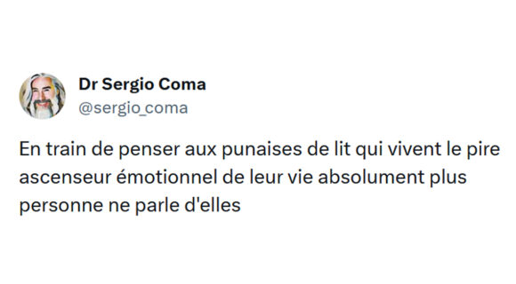 Image de couverture de l'article : Top 17 des meilleurs tweets sur les punaises de lit, l’alerte est levée !