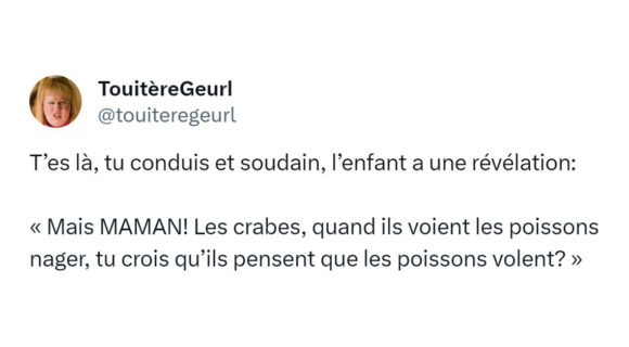 Image de couverture de l'article : Top 15 des tweets sur les poissons, ces apnéistes hors pair