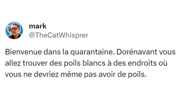 Image de couverture de l'article : Top 16 des tweets sur la quarantaine, une décennie compliquée