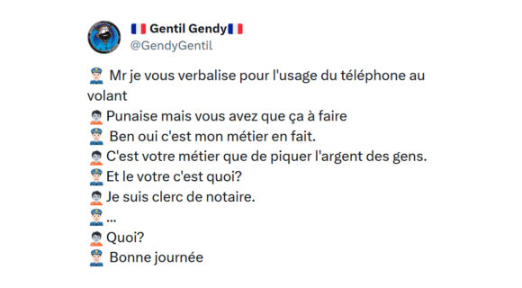 Image de couverture de l'article : Les 15 meilleurs tweets de @GendyGentil