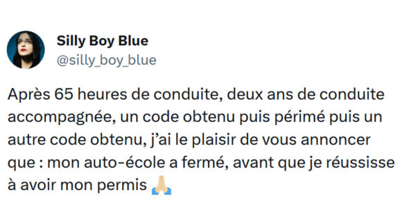 Image de couverture de l'article : Top 15 des meilleurs tweets sur l’auto-école, je savais pas qu’il fallait s’arrêter au feu orange !