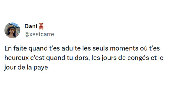 Image de couverture de l'article : Top 15 des meilleurs tweets sur le dodo, la solution à tous les problèmes !