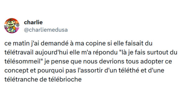 Image de couverture de l'article : Top 15 des meilleurs tweets sur le télétravail, mamie je suis en call !