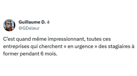 Image de couverture de l'article : Top 15 des meilleurs tweets sur les stagiaires, ces exploité(e)s du monde du travail