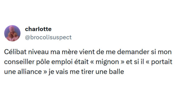 Image de couverture de l'article : Top 18 des meilleurs tweets sur Pôle emploi, du travail il y en a, mais pas celui que vous voulez !