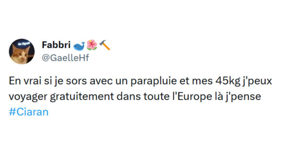 Image de couverture de l'article : Top 18 des meilleurs tweets sur la tempête Ciaran, ça déménage !