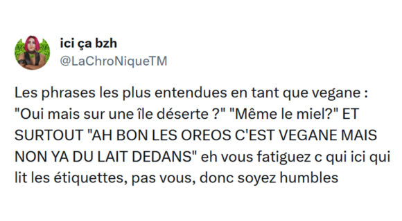 Image de couverture de l'article : Top 18 des meilleurs tweets sur les véganes, c’est votre journée  !