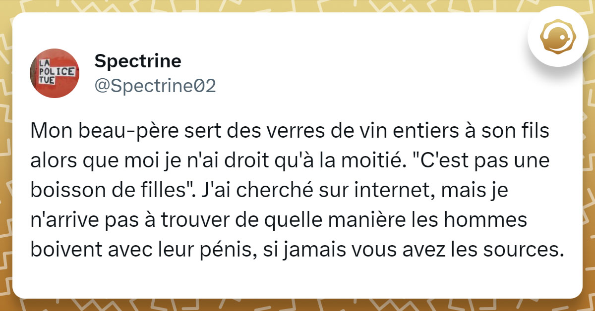 Tweet de @Spectrine02 : "Mon beau-père sert des verres de vin entiers à son fils alors que moi je n'ai droit qu'à la moitié. "C'est pas une boisson de filles". J'ai cherché sur internet, mais je n'arrive pas à trouver de quelle manière les hommes boivent avec leur pénis, si jamais vous avez les sources."