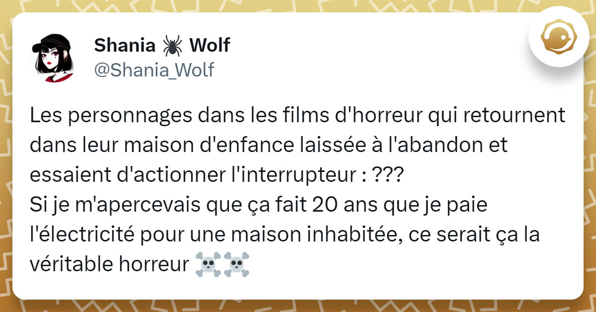 Tweet de @Shania_Wolf : "Les personnages dans les films d'horreur qui retournent dans leur maison d'enfance laissée à l'abandon et essaient d'actionner l'interrupteur : ??? Si je m'apercevais que ça fait 20 ans que je paie l'électricité pour une maison inhabitée, ce serait ça la véritable horreur ☠️☠️"