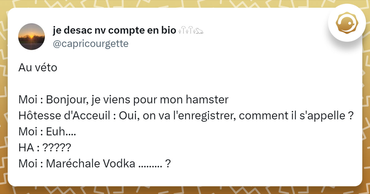 Tweet de @capricourgette : "Au véto Moi : Bonjour, je viens pour mon hamster Hôtesse d'Acceuil : Oui, on va l'enregistrer, comment il s'appelle ? Moi : Euh.... HA : ????? Moi : Maréchale Vodka ......... ?"