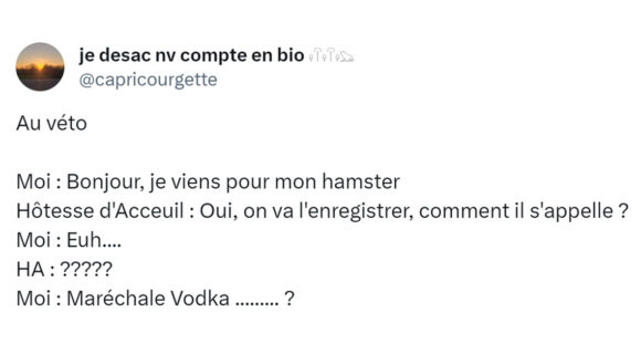 Image de couverture de l'article : Top 15 des tweets sur le hamster, ce rongeur aux grosses joues