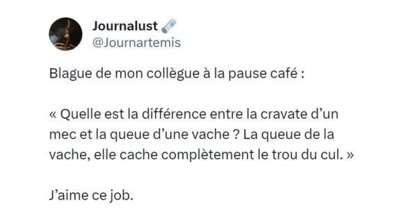 Image de couverture de l'article : Top 14 des tweets sur les vaches, meuh par ci meuh par là