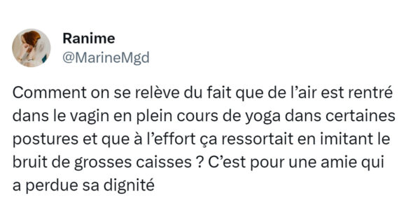 Image de couverture de l'article : Top 15 des tweets sur le yoga, petite salutation au soleil là