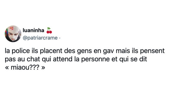 Image de couverture de l'article : Les 15 meilleurs tweets sur la garde à vue, c’est quoi cette cellule ?