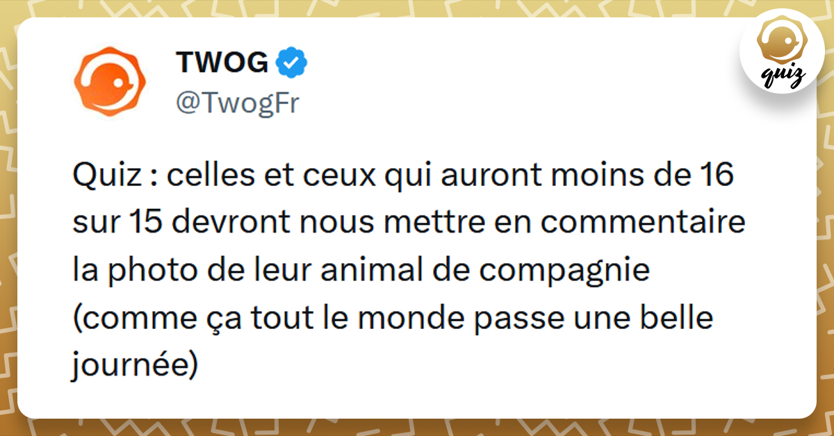 Tweet liséré de jaune disant "Celles et ceux qui auront moins de 16 sur 15 devront nous mettre en commentaire une photo de leur animal de compagnie (comme ça tout le monde passe une belle journée)"