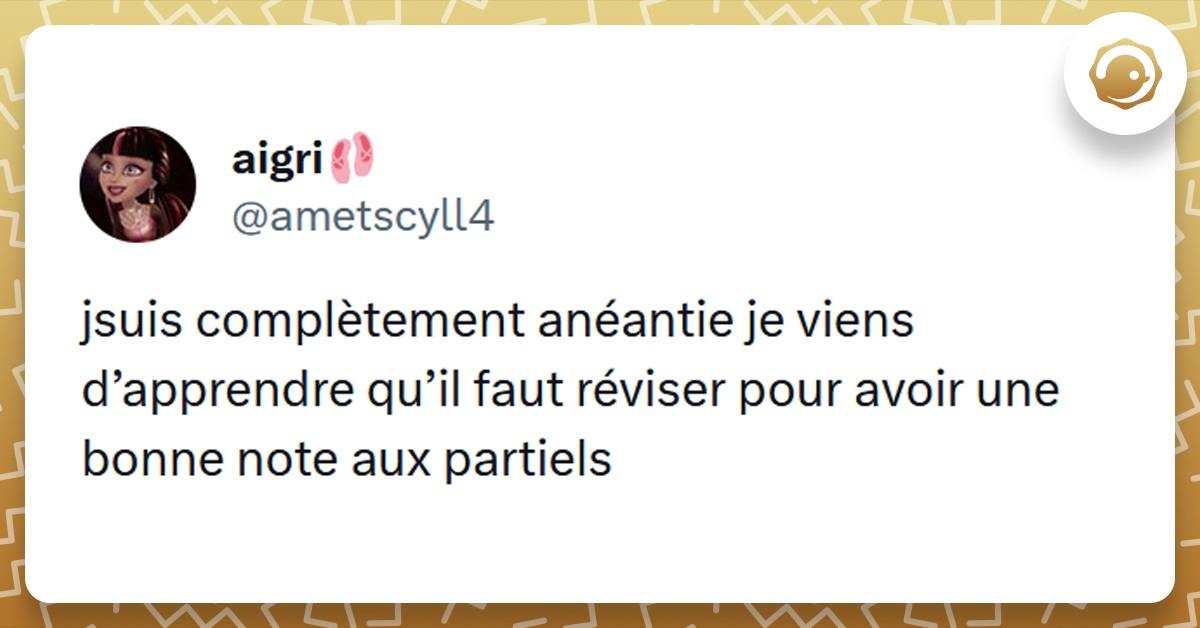 Tweet liseré de jaune disant "Je suis complètement anéantie, je viens d'apprendre qu'il faut réviser pour avoir une bonne note aux partiels".