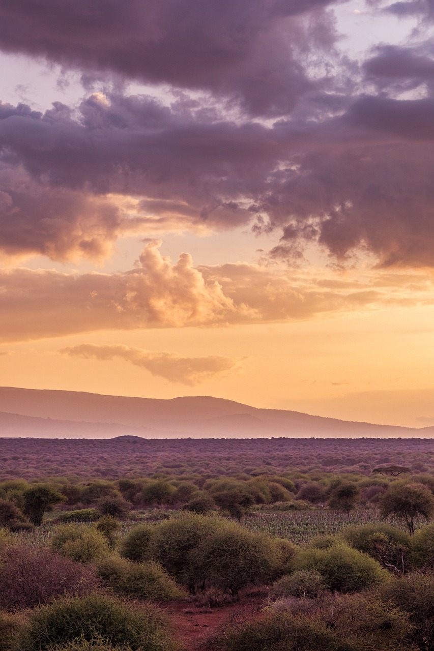 Photo de la savane au Kenya