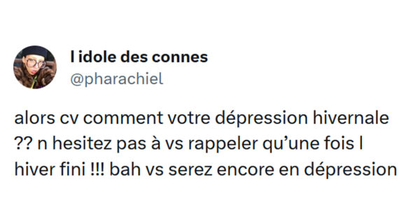 Image de couverture de l'article : Top 15 des meilleurs tweets sur la dépression hivernale