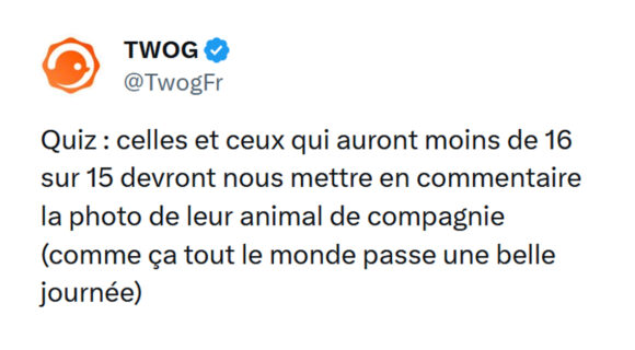 Image de couverture de l'article : Quiz : 15 questions de culture générale #223