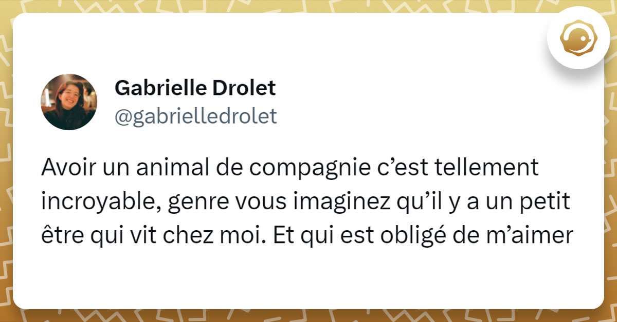 Tweet de @GabrielleDrolet : "Avoir un animal de compagnie c’est tellement incroyable, genre vous imaginez qu’il y a un petit être qui vit chez moi. Et qui est obligé de m’aimer"