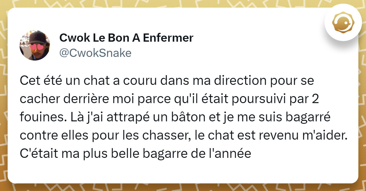 Tweet de @CwokSnake : "Cet été un chat a couru dans ma direction pour se cacher derrière moi parce qu'il était poursuivi par 2 fouines. Là j'ai attrapé un bâton et je me suis bagarré contre elles pour les chasser, le chat est revenu m'aider. C'était ma plus belle bagarre de l'année"