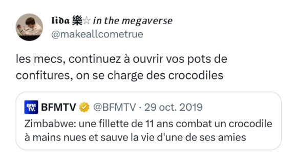 Image de couverture de l'article : Top 15 des tweets sur les crocodiles, sacrée mâchoire