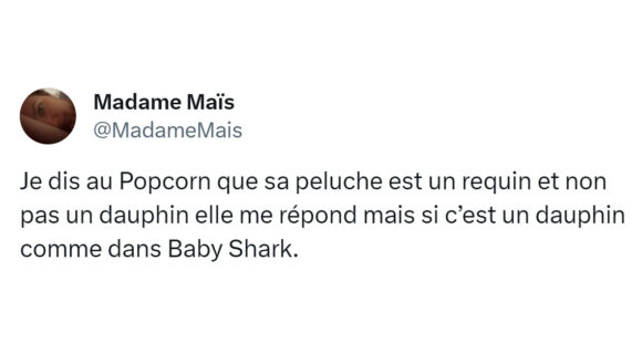 Image de couverture de l'article : Top 15 des tweets sur le dauphin, l’animal aquatique préféré des enfants