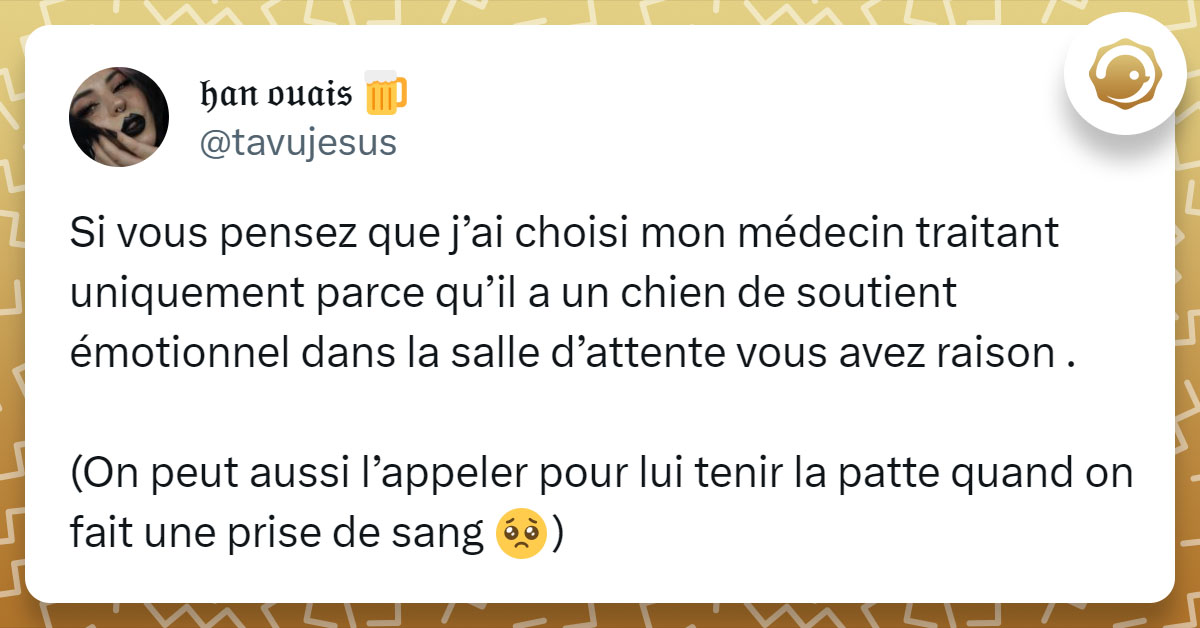 Tweet de @tavujesus : "Si vous pensez que j’ai choisi mon médecin traitant uniquement parce qu’il a un chien de soutient émotionnel dans la salle d’attente vous avez raison . (On peut aussi l’appeler pour lui tenir la patte quand on fait une prise de sang 🥺)"