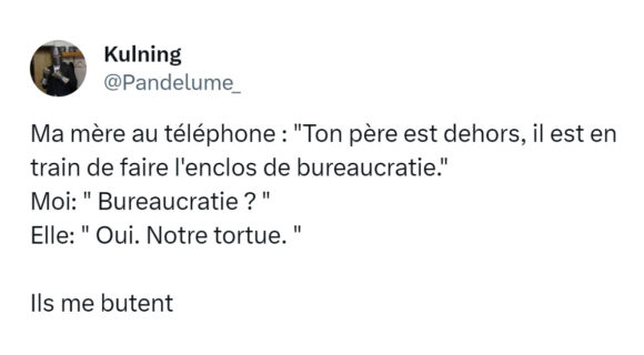 Image de couverture de l'article : Top 13 des meilleurs tweets sur les tortues, lenteur et longévité