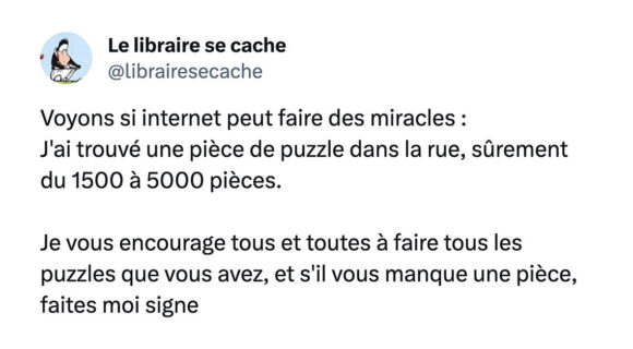 Image de couverture de l'article : Top 10 des tweets sur les puzzles, ça rend zinzin