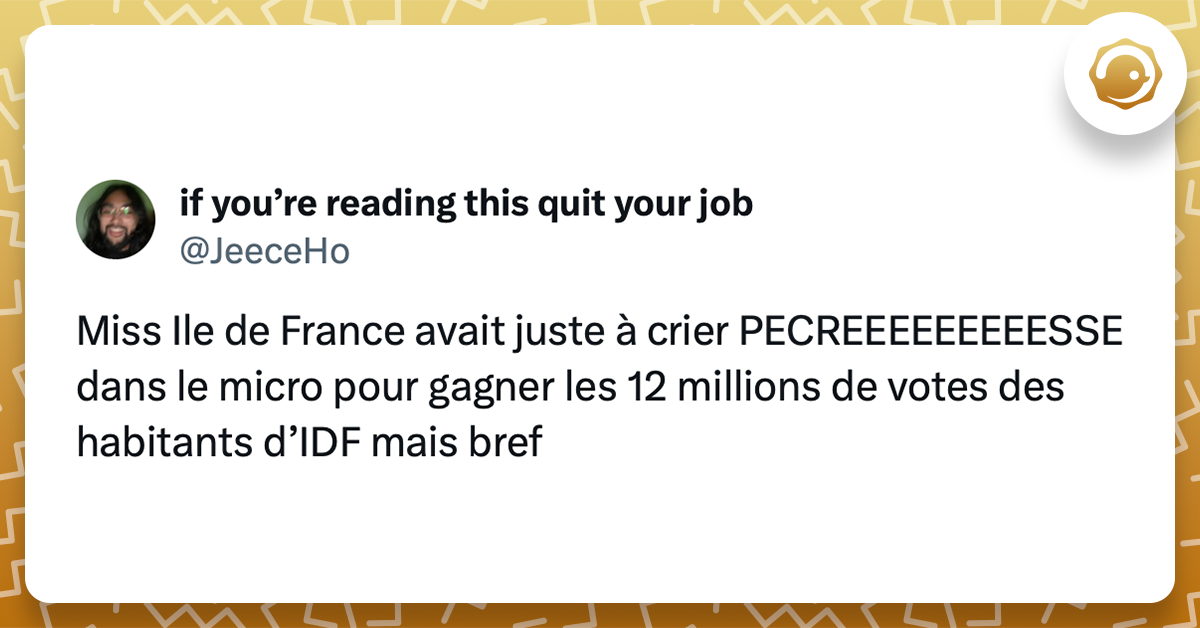 Tweet liseré de jaune disant "Miss Ile de France avait juste à crier PECREEEEEEEEESSE dans le micro pour gagner les 12 millions de votes des habitants d’IDF mais bref"