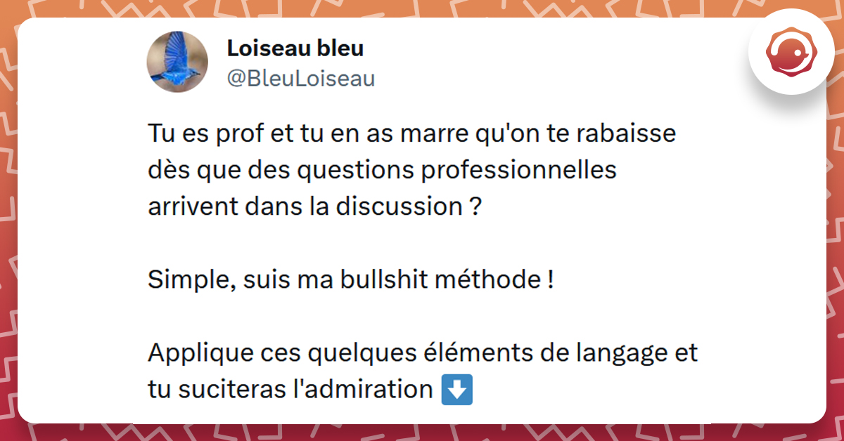Tweet liseré de rouge de @BleuLoiseau disant "Tu es prof et tu en as marre qu'on te rabaisse dès que des questions professionnelles arrivent dans la discussion ? Simple, suis ma bullshit méthode ! Applique ces quelques éléments de langage et tu susciteras l'admiration "