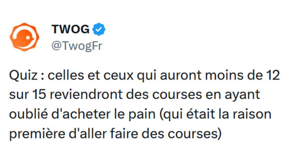 Image de couverture de l'article : Quiz : 15 questions de culture générale #236