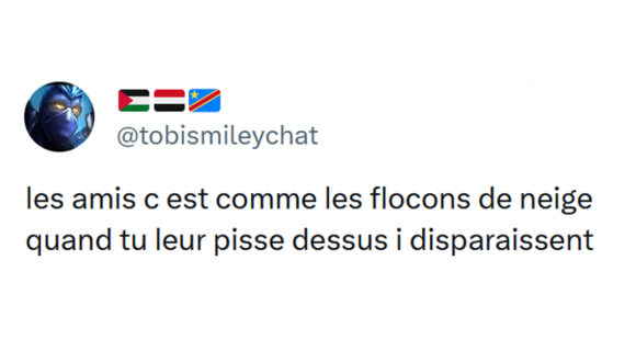 Image de couverture de l'article : Top 16 des tweets les plus drôles sur la neige